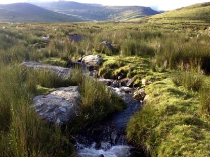 Trailrunning Wales